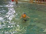 Plavání Rosnička