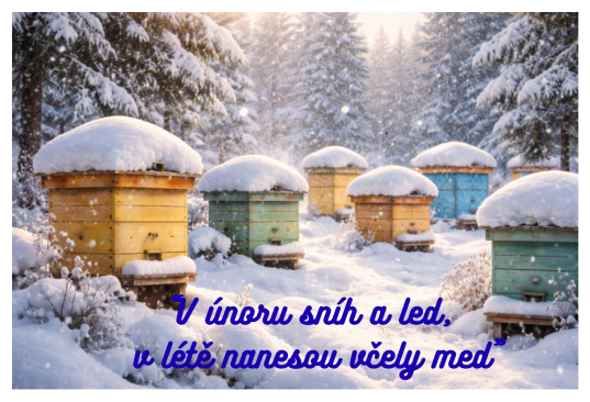 “V&nbsp;únoru sníh a&nbsp;led, v&nbsp;létě nanesou včely med”
